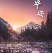 体坛网足球比分-体坛网足球比分,实时追踪,洞悉绿茵风云的数字窗口